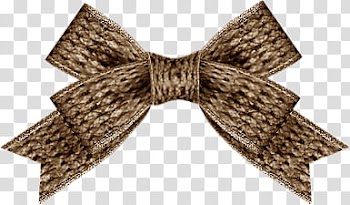 Bows, brown ribbon transparent background PNG clipart