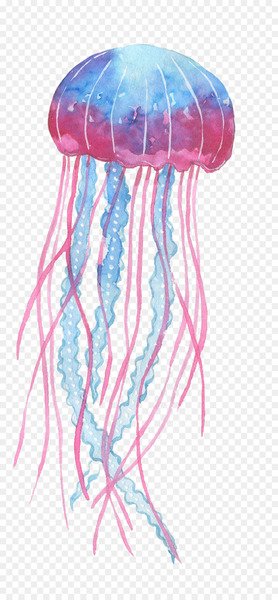Box jellyfish Ocean - Blue pink jellyfish 