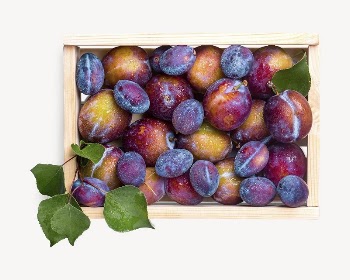 Box of plums collage element | Free PSD - rawpixel