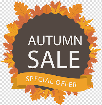 Box Photography Illustration Autumn In Leaves Heading