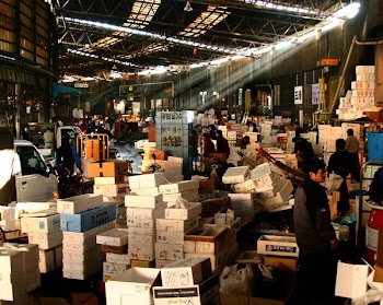 Box Piles In Japanese Market