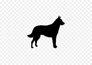 Boxer Malinois dog Rough Collie German Shepherd Australian Shepherd -  