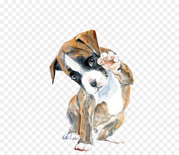Boxer Watercolor painting Oil painting Drawing - Hello puppy 