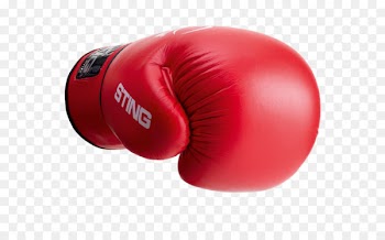 Boxing glove Sting Sports Venum - boxing 