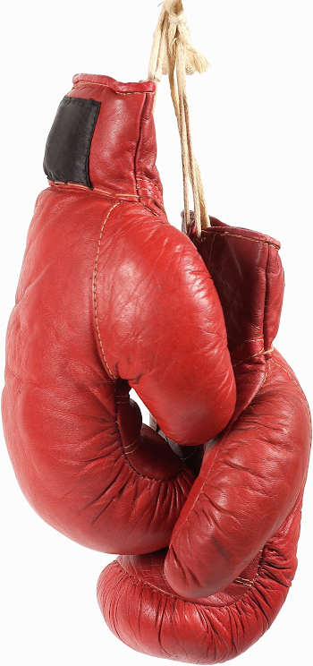 boxing gloves - Google Search | Sports + Lifestyle | Pinterest ...