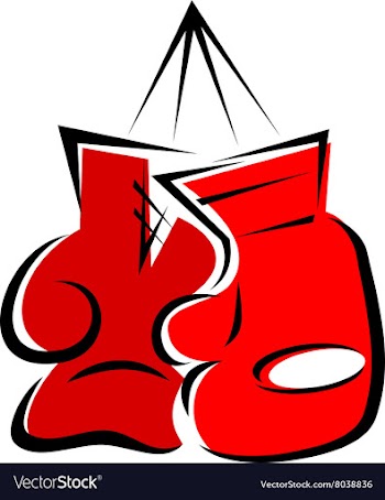 Boxing gloves vector image