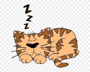 Boy Animals, Baby, Cat, Monkey, Mouse, Black, People, - Cat Sleeping Clipart