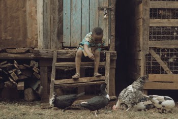 Boy Feeding Ducks