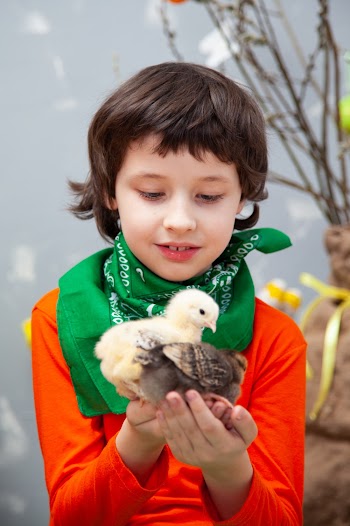 Boy Holding Birds