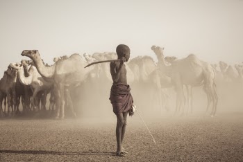 Boy Holding Sword and Looking Back at the Camels