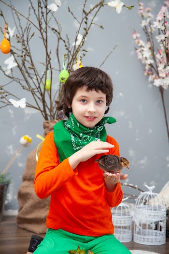 Boy in Red Long-sleeved Shirt Holding Brown Brid
