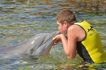 Boy Kissing Dolphin