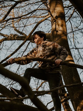 Boy on Tree Holding Branch