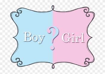 Boy Or Girl