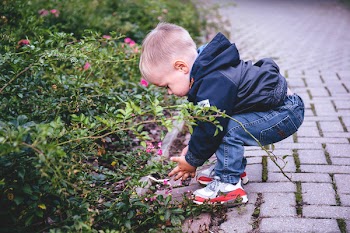 Boy picking flowers