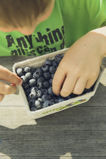 Boy Picking on Blueberries in Cardboard Box