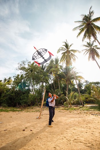Boy Playing with Kite Near Palm trees 