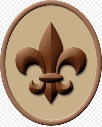 Boy Scout Handbook Ranks in the Boy Scouts of America Scouting Eagle Scout - scout 