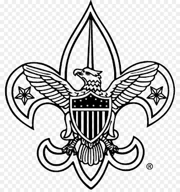 Boy Scouts of America Cub Scouting Eagle Scout - scout 
