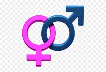 Boy Sign And Girl Sign