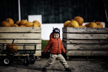 Boy Standing in Front of Crates Filled With Pumpkins