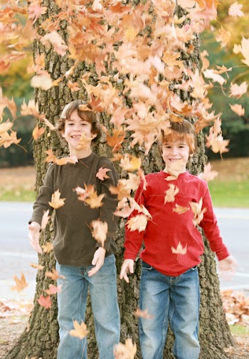 Boys Having Fun Throwing Leaves