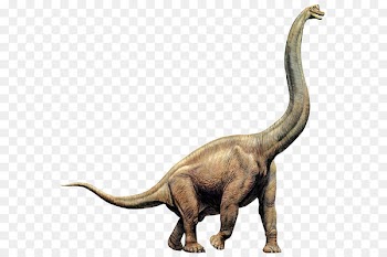 Brachiosaurus Diplodocus Giraffatitan Apatosaurus Dinosaur size - dinosaur 