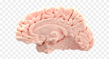 Brain (as Food)