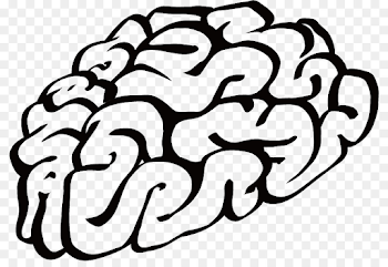 Brain Cartoon Drawing Clip art - Vector Simple hand-painted brain ...