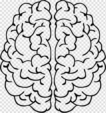 Brain Drawing Line art Abstract art , mind transparent background PNG clipart