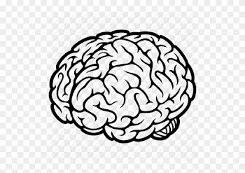 Brain Drawing Tumblr Heart And Brain Quotes - Year In The Life Of A Total And Complete Genius
