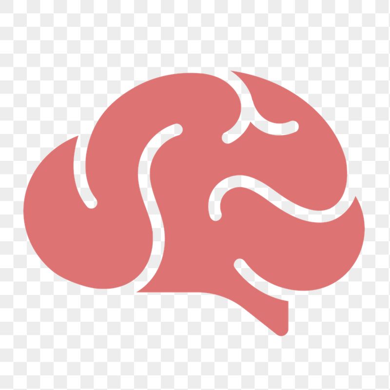 Brain, education png icon sticker, | Free Icons - rawpixel