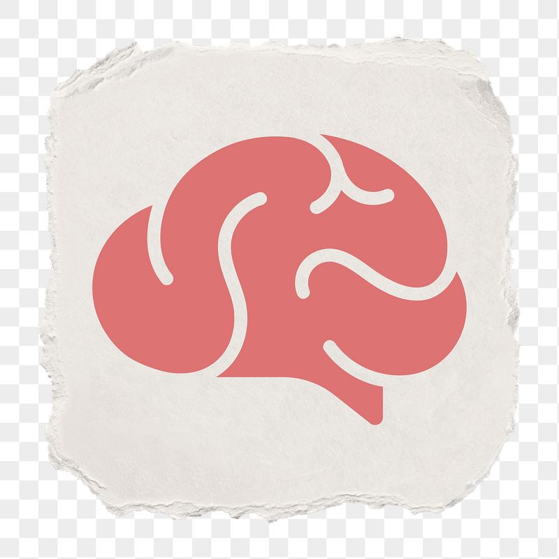 Brain, education png icon sticker, | Free Icons - rawpixel