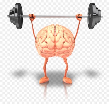 Brain Health Fish oil Physical exercise Human body - mind 