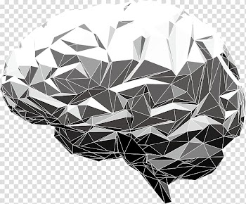 Brain , Human brain Abstract Illustration, human brain model transparent background PNG clipart