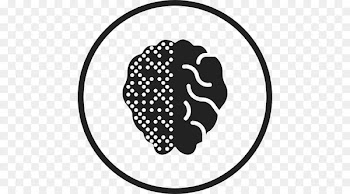 Brain, Human Brain, Epileptic Seizure, Line Art, Blackandwhite PNG