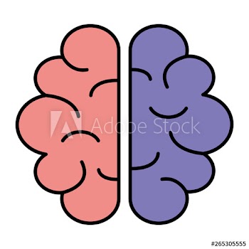 brain human organ icon