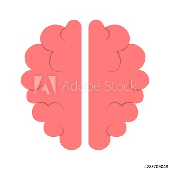 Brain icon