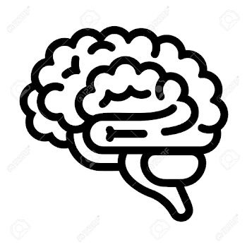 Brain Icon. Outline Brain Vector Icon For Web Design Isolated ...