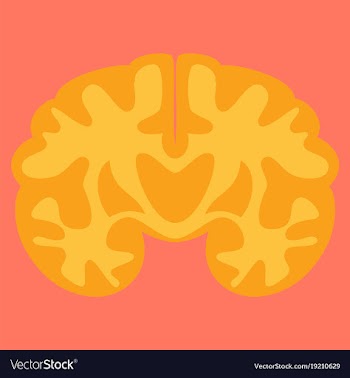 Brain in flat monochrome color on white background vector image