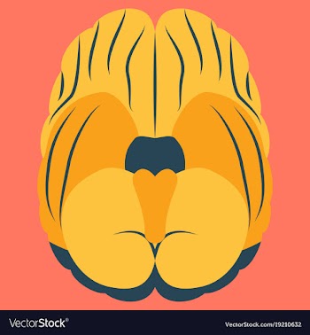 Brain in flat monochrome color on white background vector image