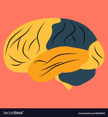 Brain in flat monochrome color on white background vector image
