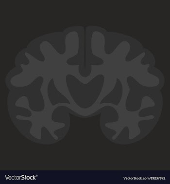 Brain in flat monochrome color on white background vector image