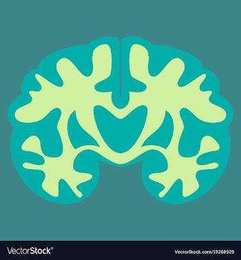 Brain in flat monochrome color on white background vector image
