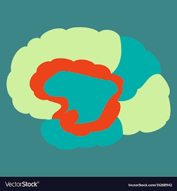 Brain in flat monochrome color on white background vector image