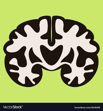 Brain in flat monochrome color on white background vector image