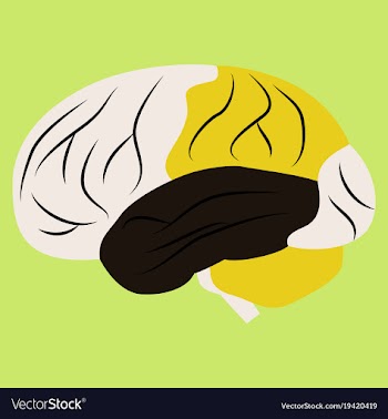 Brain in flat monochrome color on white background vector image