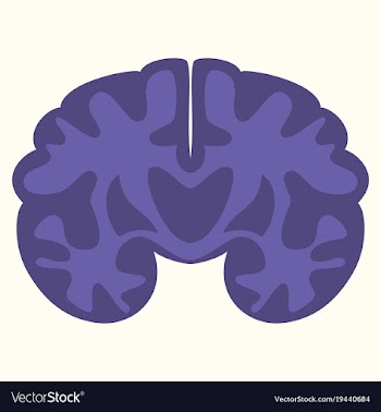 Brain in flat monochrome color on white background vector image