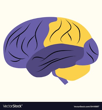 Brain in flat monochrome color on white background vector image