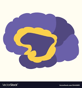 Brain in flat monochrome color on white background vector image